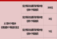 8号彩票娱乐,揭秘热门彩种的魅力与玩法