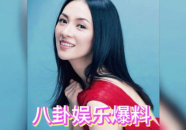 吃瓜娱乐圈综艺小说,吃瓜狂欢，明星背后的秘密大揭秘
