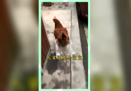 吃瓜群众的娱乐网名大全,吃瓜群众娱乐网名大全,笑料百出!