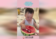 娱乐吃瓜社小鸡嘴,娱乐圈幕后那些事儿