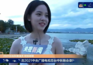 娱乐吃瓜君流量明星,崛起与争议并存